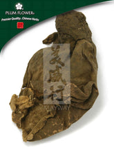 马波,未硫化的巨马勃